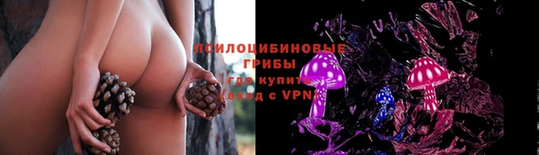 тгк Богородск
