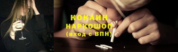эйфоретик Богданович